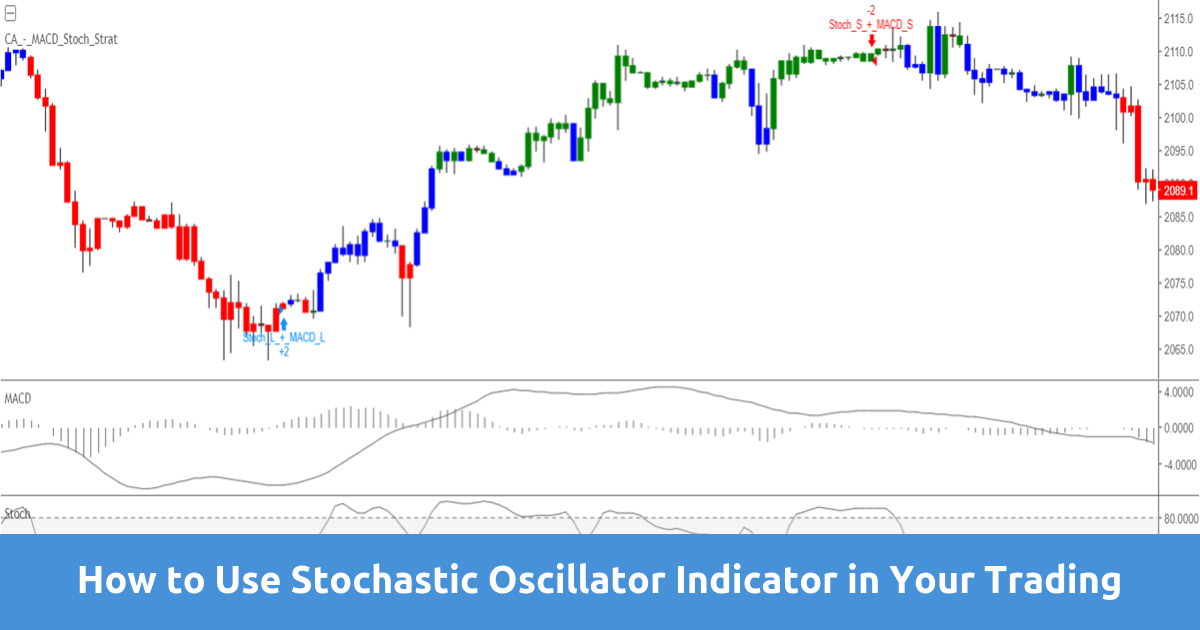 Stochastic Oscillator Indicator: How to Use in Your Trading
