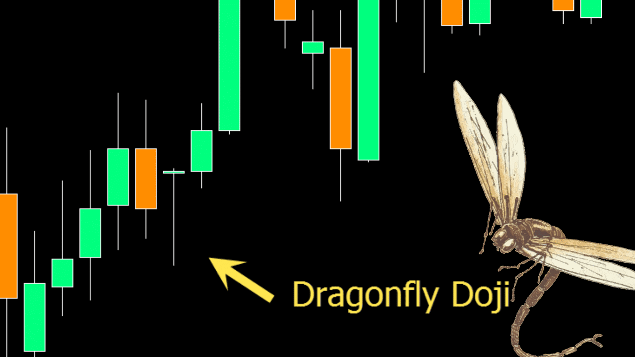 Dragonfly Doji – How to Find and Trade