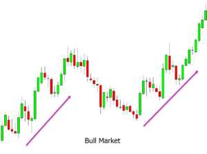 Stock Market Terminology for Beginners With Free PDF Download