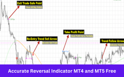 Accurate Reversal Indicator MT4 and MT5 Free